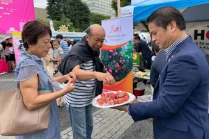 Giới thiệu vải thiều Việt Nam đến với người dân Nhật Bản. Ảnh: Thương vụ Việt Nam tại Nhật Bản