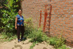 Bà Nông chỉ vết sơn đỏ, cho rằng đây là vị trí đường đi cũ đã bị ông H lấn chiếm để xây nhà. Ảnh: QN