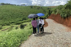 Khách tìm mua đất đón đầu khu vực gần cao tốc Tân Phú - Bảo Lộc. Ảnh: Q.HUY