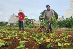 Cặp vợ chồng “vầng trăng khuyết” thu nhập tiền tỉ mỗi năm