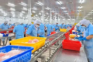 Doanh nghiệp tăng tiêu thụ nội địa để ứng phó với tỉ giá tăng. Ảnh: THU HÀ