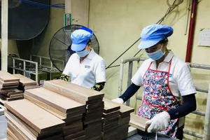 Luật BHXH (sửa đổi) có nhiều điểm mới bảo vệ tốt hơn quyền lợi cho người lao động. Ảnh minh họa: HUỲNH DU