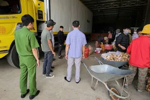 Công an tỉnh Lâm Đồng phối hợp với công an huyện Đức Trọng và Đơn Dương kiểm tra các vựa nông sản. Ảnh: M.HẬU - T.SANG