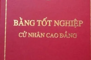 TTCP đang xử lý 1 vụ trưởng khai bằng cao đẳng thành đại học