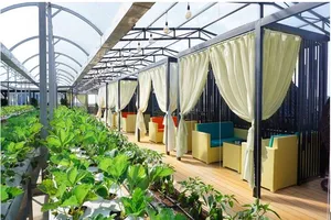 Say như điếu đổ quán cà phê view cực đẹp L’amour ở Đà Lạt