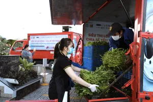 Gói rau củ 6,5 ký chỉ 50.000 đồng xuất hiện ở TP.HCM