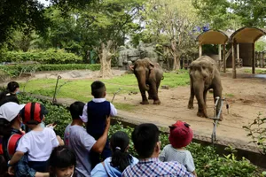 Hàng ngàn người đổ về Thảo Cầm Viên, Đầm Sen du xuân mùng 2 Tết
