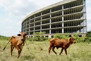 Cận cảnh dự án Sài Gòn Silicon gần 860 tỉ sắp thu hồi