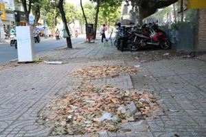 Vì sao quận 1 sửa chữa hàng loạt vỉa hè?