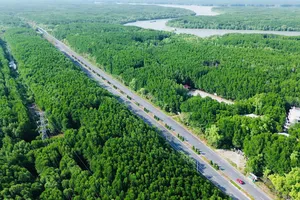 Tuyến metro đi Cần Giờ có thể khởi công đầu năm 2026