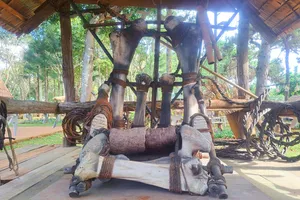 Chiêm ngưỡng ghế xương voi trắng 700 năm tuổi