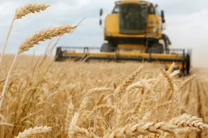 Hình ảnh thu hoạch lúa mì tại Ukraine. Ảnh: AFP