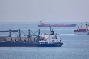 Những tàu chở ngũ cốc qua Biển Đen đang đợi kiểm tra tại cảng TP Istanbul (Thổ Nhĩ Kỳ) Ảnh: REUTERS