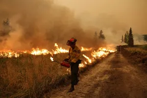 Lính cứu hỏa ra sức dập lửa tại Alberta, Canada. Ảnh: REUTERS