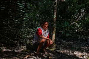 Những người sống sót cuối cùng của bộ tộc bản địa Amazon 