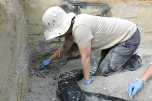 Phát hiện cấu trúc bằng gỗ lâu đời nhất thế giới 