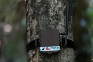 Trí tuệ nhân tạo được dùng cứu rừng Amazon như thế nào?