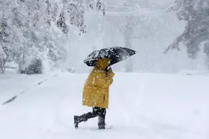 Báo động, tuyết đã biến đi đâu?