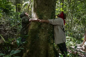 Những 'nữ chiến binh' kiên trì bảo vệ rừng