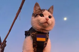 Cuộc chiến mèo và chuột ở tiền tuyến Ukraine