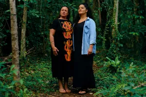 Kiện chính quyền vì không cho ... đỡ đẻ