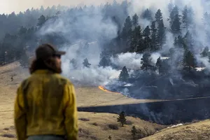 Mỹ lo lắng vì các loài cỏ dại