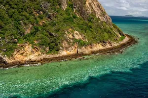 Màu trắng chết chóc dưới lòng biển