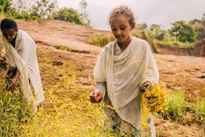 Độc lạ một nước vẫn mới năm 2016 khi cả thế giới đã 2024 