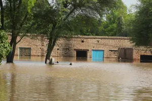 Khi 'ốc đảo mùa hè' biến thành rốn lũ chết người