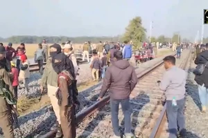 Thương tâm vụ tai nạn tàu chở 600 khách ở Ấn Độ lao vào đàn voi