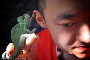 Ngắm 15 con thú cưng 'độc đáo'