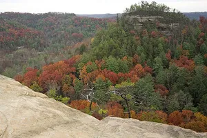 Mộng du rơi xuống vách đá sâu 19m vẫn sống sót thần kỳ