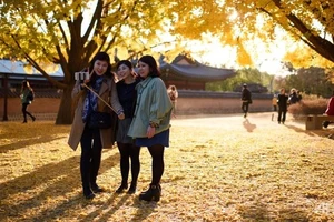 Hàn Quốc đe dọa bỏ tù người bán 'gậy tự sướng' trái phép