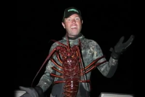 Bắt ‘lão’ tôm hùm … 70 tuổi