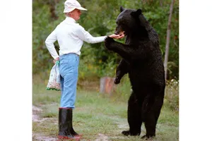 Một phụ nữ tử nạn vì bị gấu tấn công