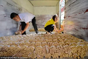 Sốc: Mua xe hơi bằng... 1.320 bao tiền lẻ