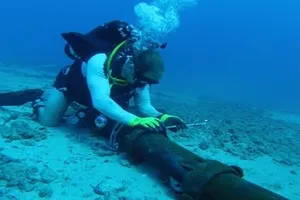 Clip các nhà khoa học 'minh oan' cho cá mập về việc đứt cáp quốc tế