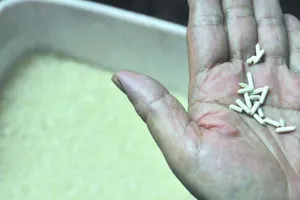 Sau gạo nhựa, phát hiện gạo giấy tại Trung Quốc