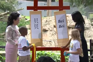 Hai đệ nhất Phu nhân Mỹ - Trung cùng nhau đi vườn thú 