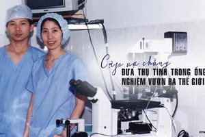 Cặp vợ chồng đưa thụ tinh trong ống nghiệm vươn ra thế giới 