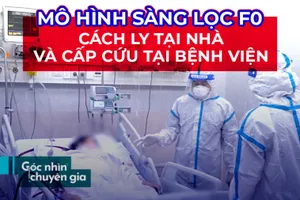 Gợi ý mô hình cho TP.HCM tìm F0 có nguy cơ bị nặng