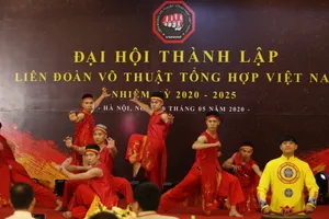 Cột mốc lịch sử của Liên đoàn Võ thuật tổng hợp Việt Nam