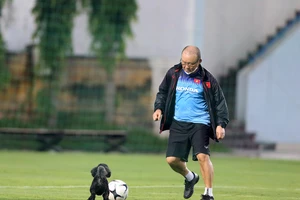 Ngộ nghĩnh thầy Park lừa bóng ngoạn mục qua... cún cưng