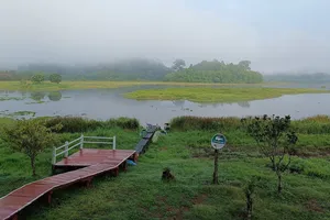 Vào rừng Nam Cát Tiên đạp xe, đi bộ tìm bình yên