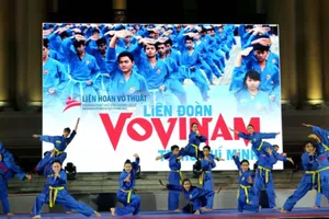 Khám phá sự độc đáo của Liên hoan Võ thuật Việt - Hàn 2023