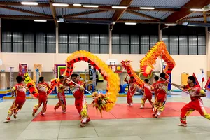 Lân Sư Rồng và Vovinam trình diễn ngoạn mục tại Pháp