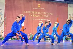 Ngày Việt Nam tại Pháp 2023: Ấn tượng Võ Việt!