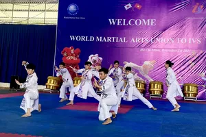 Hấp dẫn sự kiện kết nối tinh hoa Võ thuật 