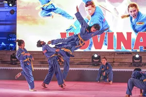 Hàn Quốc, Nhật Bản tham gia Liên hoan Tự hào võ Việt - Hội nhập quốc tế 