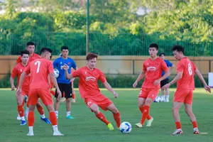 Đội tuyển Việt Nam ưu tiên ổn định, hạn chế thử nghiệm